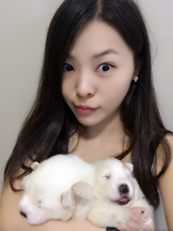 如果可以的第三张照片--台湾闪婚服务中心