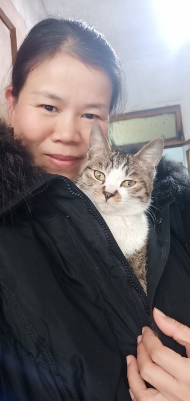 紫竹调的第一张照片--台湾闪婚服务中心
