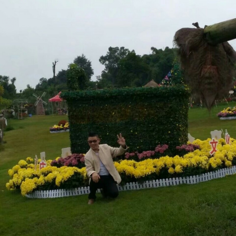 春风里^O^任徜徉的第一张照片--台湾闪婚服务中心